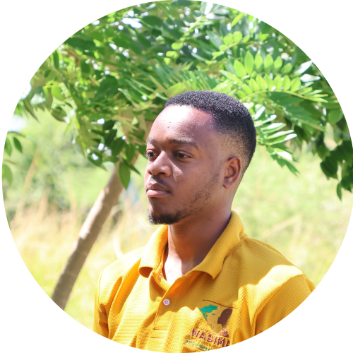 Team Member
